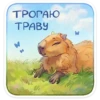 капибYра 19