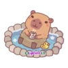 capibara 2 22