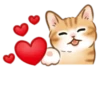 Cute kitties | 18