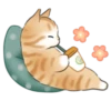 Cute kitties | 19