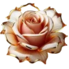 Rosas Hermosas💞1🇵🇪Clásica 17