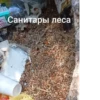 ЧертRта от 20