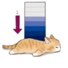 Cute kitties | 20