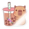 capibara 2 24