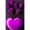 💥Corazones purpuras💥 21