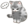 Cute kitties | 21