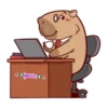 capibara 2 26