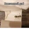 ЧертRта от 23