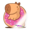 capibara 2 27