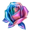 Rosas Hermosas💞1🇵🇪Clásica 19