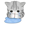 Cute kitties | 23