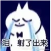 Funny Chinese Cat 23