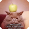SLEjKTs_by_achestickbot 20