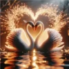Lindos cisnes 29