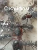 ЧертRта от 28