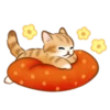 Cute kitties | 27
