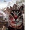 Zazu cat 12