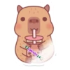 capibara 2 29