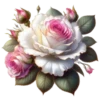 Rosas Hermosas💞1🇵🇪Clásica 27