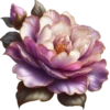 Rosas Hermosas💞1🇵🇪Clásica 28