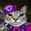 Zazu cat 14