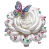Rosas Hermosas💞1🇵🇪Clásica 30