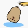 Capybara - Random Mood 30