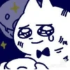 Funny Chinese Cat 28