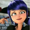 Marinette Dupain-Cheng by: 🐞🚏 28