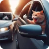 Gatos 9 👩🏻‍🎨 Img.1712 6