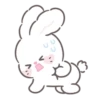 Bunny ➝ 6
