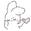 Bunny ➝ 7