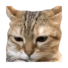 Looong animals 9