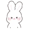 Bunny ➝ 9
