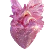 Variaditos💞28🇵🇪Clásica 9