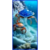 💥Animales del Fondo marino 💥 6