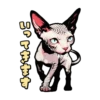 Cat stamp Sphinx 7