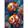 💥Animales del Fondo marino 💥 8