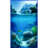 💥Animales del Fondo marino 💥 9