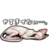 Cat stamp Sphinx 9