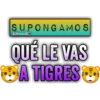 SUPONGAMOS Bralen K QUÉ LE VAS A TIGRES
