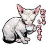 Cat stamp Sphinx 11