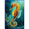 💥Animales del Fondo marino 💥 11