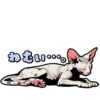 Cat stamp Sphinx 14