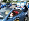 Plush 14