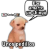 Bralen K Por amarte un chingó Unos pedillos