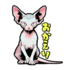 Cat stamp Sphinx 15