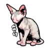 Cat stamp Sphinx 17
