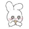 Bunny ➝ 13