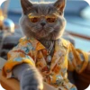 Gatos 9 👩🏻‍🎨 Img.1712 12